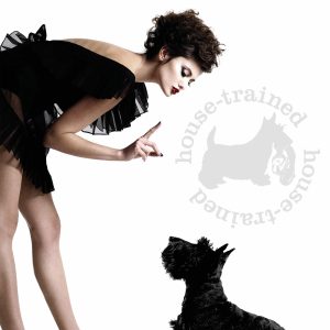 PHIL LORAINE – HOUSE TRAINED